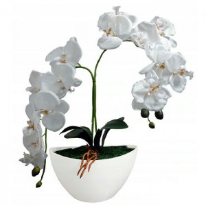 ORCHIDEJ V KVĚTNÍKU 60CM