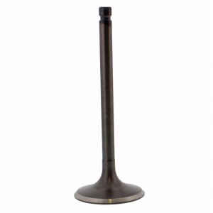 VENTIL - SACÍ YAMAHA YFM 250 350 400 GRIZZLY RAPTOR KODIAK BIG BEAR