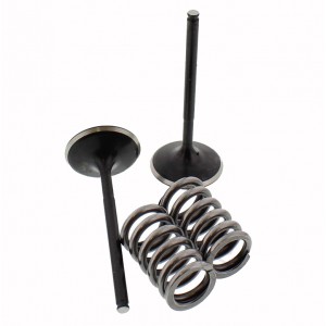 SADA SACÍCH VENTILŮ VČETNĚ PRUŽIN HONDA CRF 450 X 2005-2018 CRF450