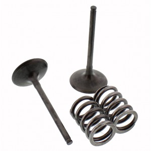 SADA SACÍCH VENTILŮ VČETNĚ PRUŽIN SUZUKI RM-Z 450 2007