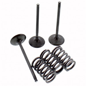 SADA SACÍCH VENTILŮ VČETNĚ PRUŽIN GAS GAS EC 450 YAMAHA WR YZ YFZ 450