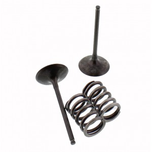 SADA SACÍCH VENTILŮ VČETNĚ PRUŽIN SUZUKI RM-Z 450 2005-2006 RMZ