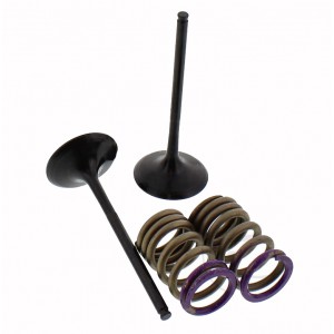 SADA SACÍCH VENTILŮ VČETNĚ PRUŽIN KAWASAKI KX 250 F 2009-2010 KX250