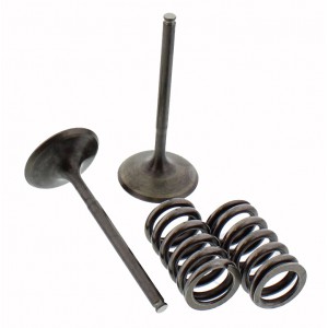 SADA SACÍCH VENTILŮ VČETNĚ PRUŽIN HONDA CRF 450 R TRX 450 SPORTRAX