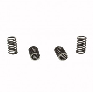 SADA SPOJKOVÝCH PRUŽIN TRW HONDA CB 750 KAWASAKI ZXR 400 SUZUKI VL 125