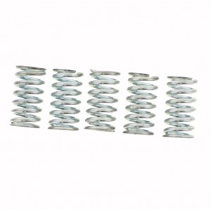 SADA SPOJKOVÝCH PRUŽIN TRW SUZUKI VL 1500 LC INTRUDER C1500