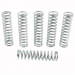 SADA SPOJKOVÝCH PRUŽIN TRW KAWASAKI ZX-12R 1200 NINJA 2001-2006