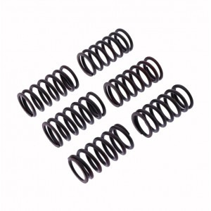 SADA SPOJKOVÝCH PRUŽIN TRW DUCATI MONSTER HYPERMOTARD 1098 1198 748