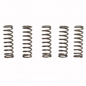 SADA SPOJKOVÝCH PRUŽIN TRW KAWASAKI KLV 1000 ZZR 600 SUZUKI DL V-STROM